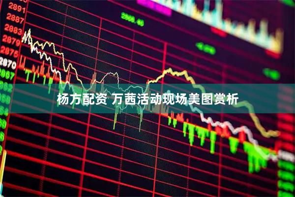 杨方配资 万茜活动现场美图赏析